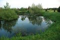 Rybnik_Paulina_Niedzwiedz_01