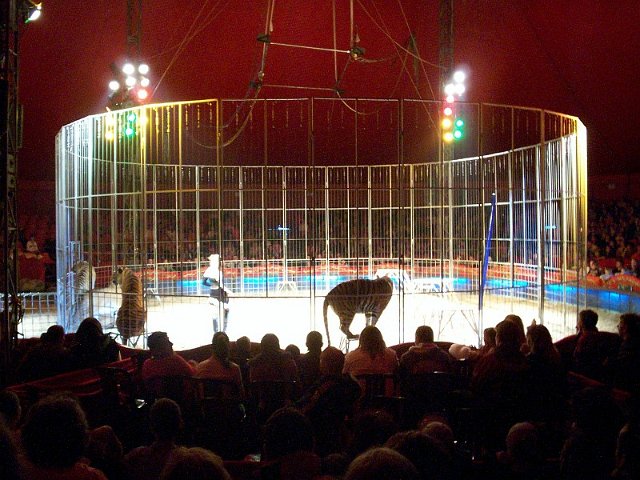 Szolnok_2010_137