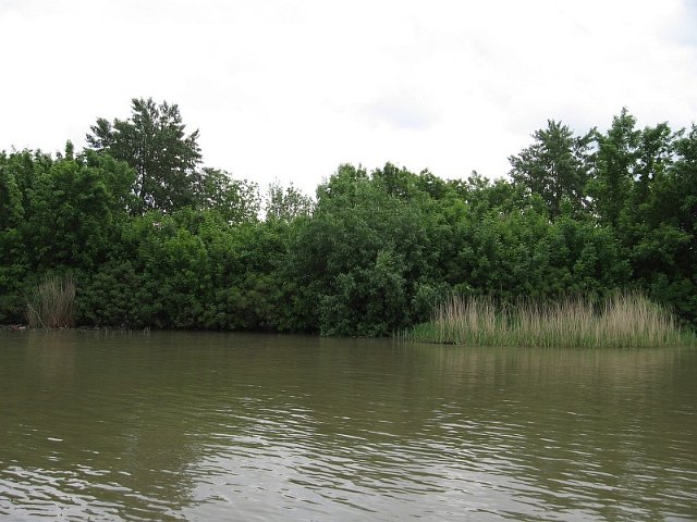 Szolnok_2010_172