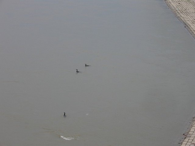 Szolnok_2010_226