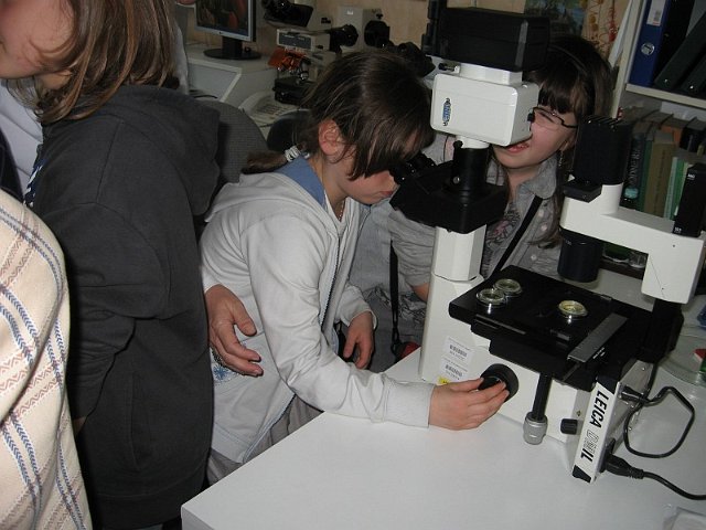 Szolnok_2010_296