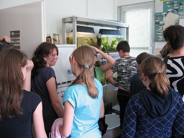 Szolnok_2010_302