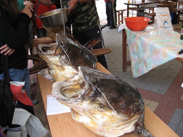 Szolnok_2010_388