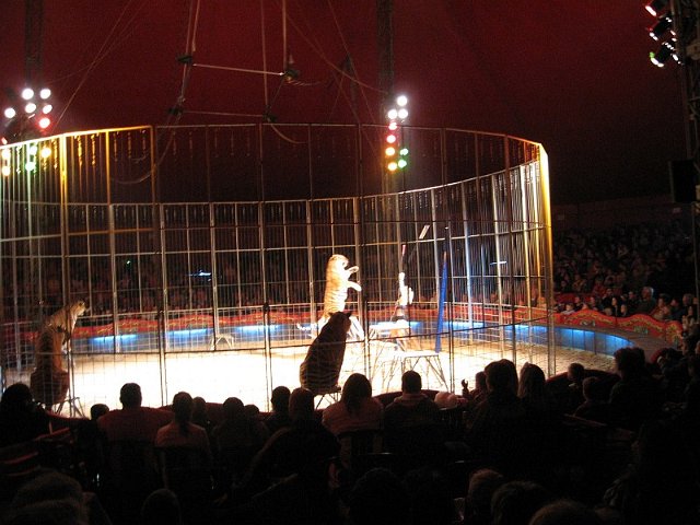 Szolnok_2010_407