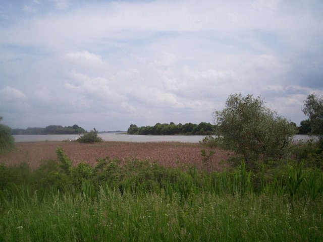 Szolnok_2010_87